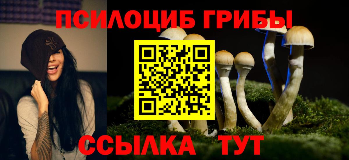 как найти закладки  Вход с VPN  Дзержинск  Галлюциногенные грибы Cubensis  Псилоцибиновые грибы MAGIC MUSHROOMS 